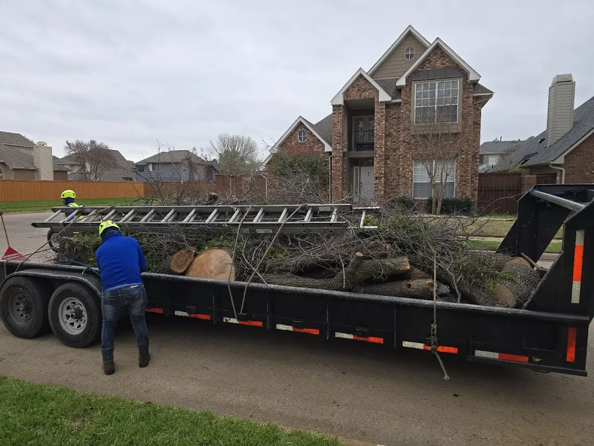 Expert Crown Reduction with proper safety equipment in Marengo
